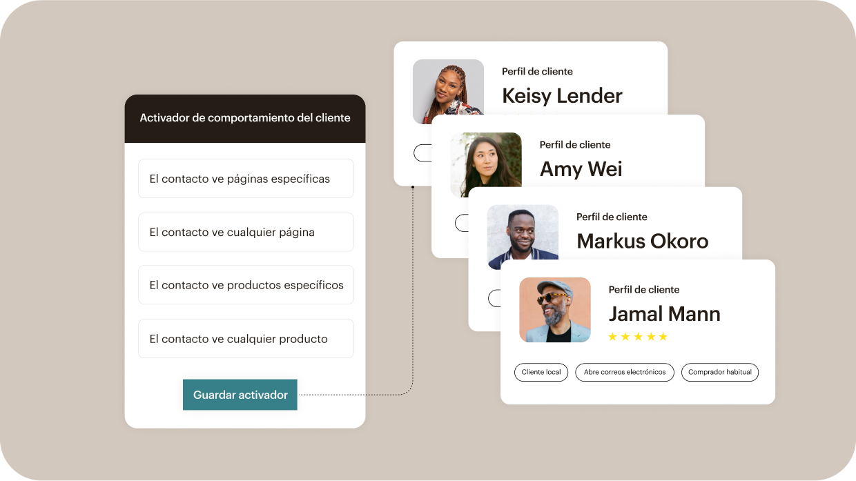 Panel de control que muestra los perfiles de clientes y las herramientas de segmentación de público de Mailchimp para campañas de marketing.